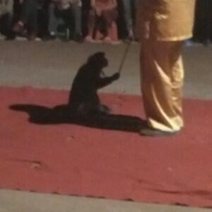 尼玛你几个意思