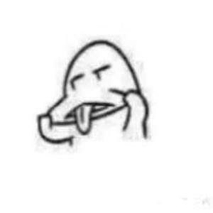 宇宙无敌小禾禾