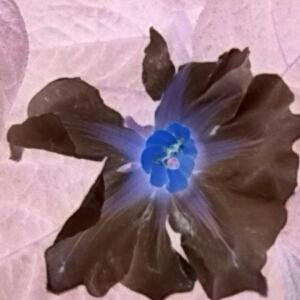 王者霸业12