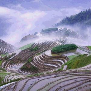 烟雨风楼