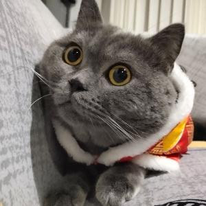 鑫