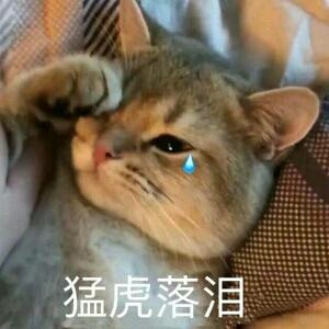 虫
