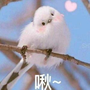 芒果街上