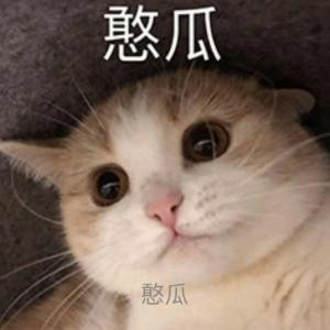 性感小野猪