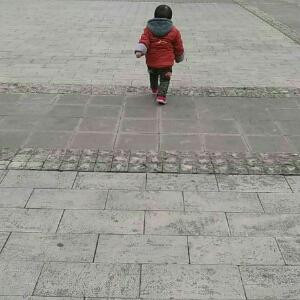 鱼鱼