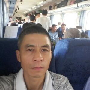 任我游