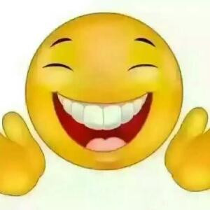 可爱小鸡