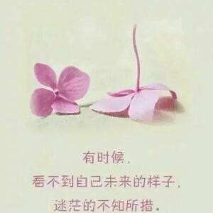 别抗拒别挽留