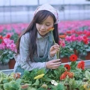 蓝色樱花落晓溪