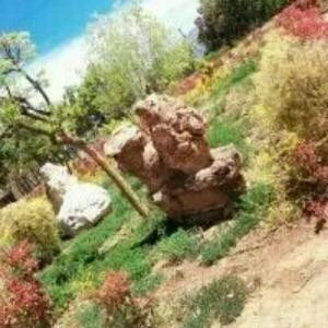 分手需要练习的