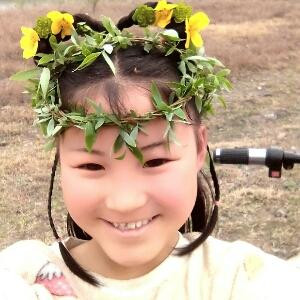 风雨中的小草