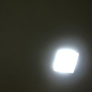 天空白羊