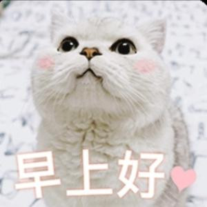 听书者