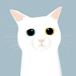 猫给兔子一颗糖