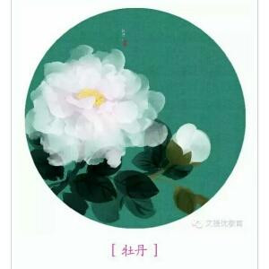 浮华若梦