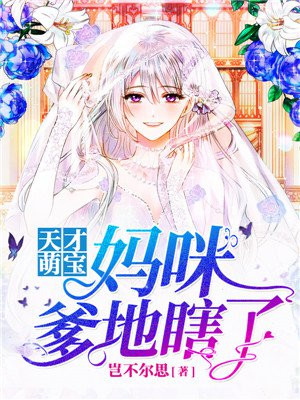 天才萌宝 妈咪 爹地瞎了最新章节列表 岂不尔思 免费在线阅读 御书网