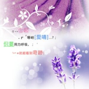 倾一世妖娆