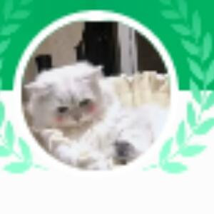 陈香香