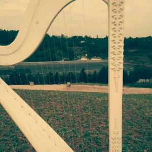 传说中的路人甲