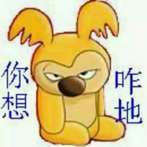 苏小沫