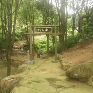 九五至尊