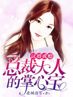 试婚成瘾，总裁大人的掌心宝
