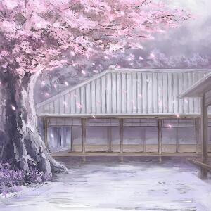 本轩
