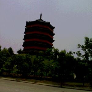 书虫