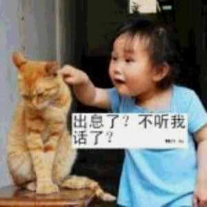 书虫