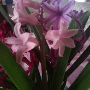 一脚一条小书虫