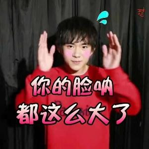DJ喜羊羊