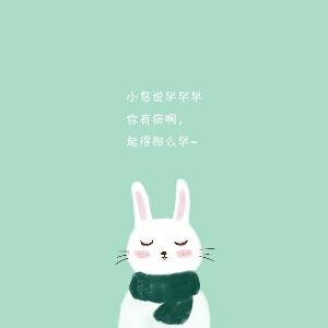 咖喱西瓜