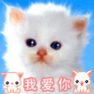 小萌熊