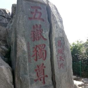 嗜读成痴