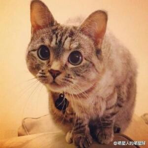 旧时光