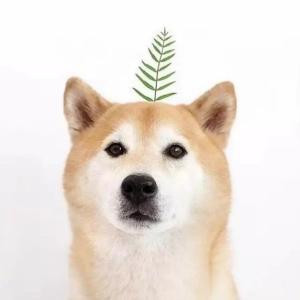 久余欢喜