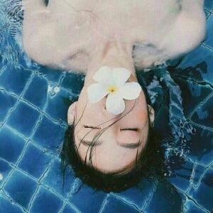 芣苡