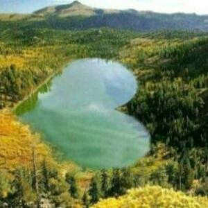 青春本无可厚非