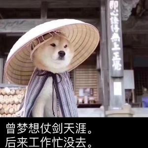 文棣os