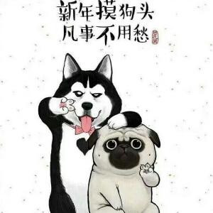 萌小呆  张小杰