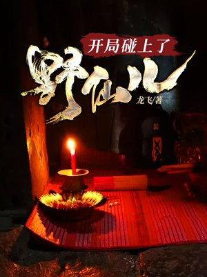 开局碰上了野仙儿