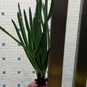 一切随缘