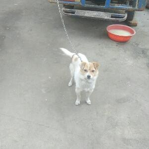 我是一个美少女