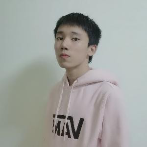 秦淮河的石