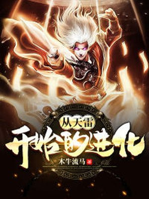 从天雷开始的进化