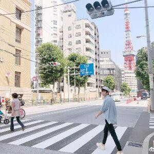 司马桉卿