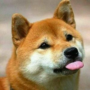 60岁的小伙