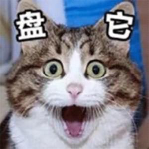 风凌阁主