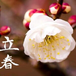 乐乐