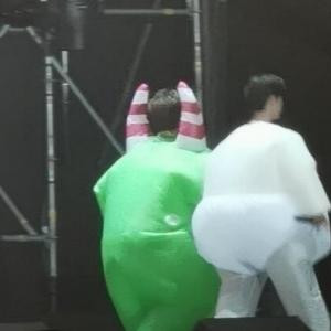 肖兔子椰啵